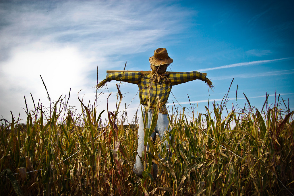 A photograph of a straw scarecrow.